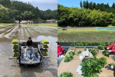 【広島駅新幹線口・アストラムライン古市駅発着/日帰り】北広島町・栄ファームで 田植え体験&野菜収穫体験1